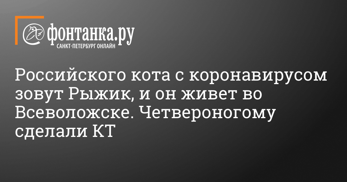 Российская кошка заразилась коронавирусом и оказалась на международной базе в январе 2021 года — Общество — Новости Санкт-Петербурга