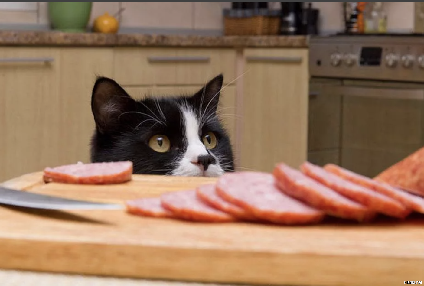 Украсть со стола. Кот с колбасой. Кот тырит колбасу. Кот ворует колбасу. Кошка ворует еду.