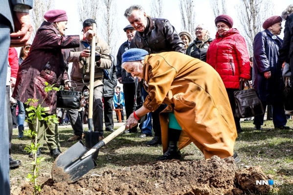 Ветераны тоже сажали деревья. Фото: Наталья Бурухина Ветераны тоже сажали деревья. Фото: Наталья Бурухина