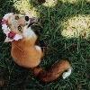 Фото пользователя