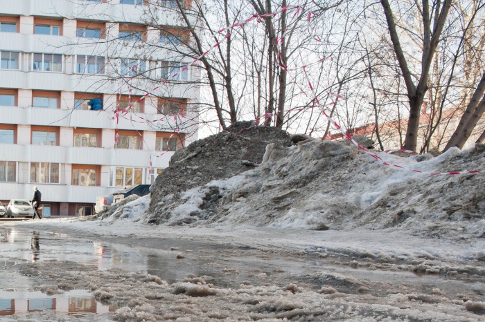 В Новосибирске потеплеет до +11 В Новосибирске потеплеет до +11