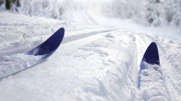 «МегаФон» обеспечит трансляцию чемпионата мира по лыжному ориентированию в Красноярске