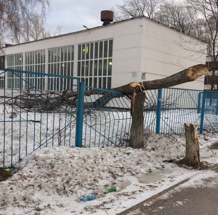 Упавшее дерево погнуло забор<br> Упавшее дерево погнуло забор<br>