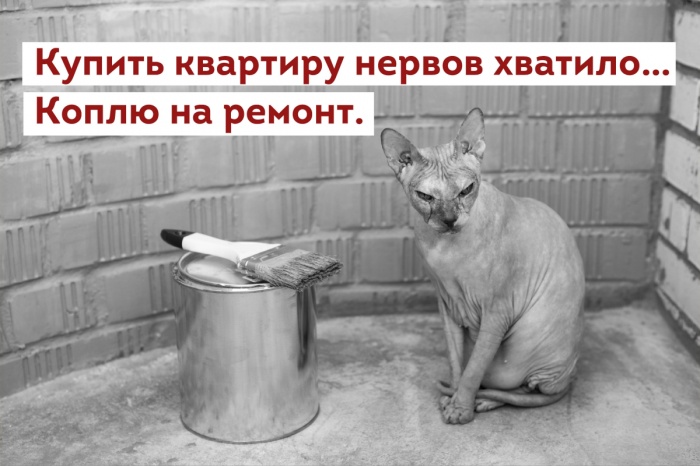 Покупаем квартиру: как совершить сделку и сохранить нервы