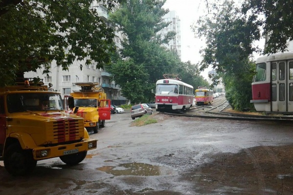 По закону подлости ветка рухнула прямо перед составом По закону подлости ветка рухнула прямо перед составом