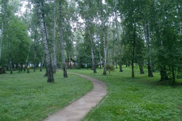 Строительство планируют начать летом следующего года Строительство планируют начать летом следующего года