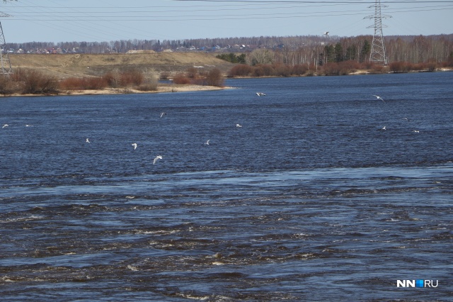 Низконапорный гидроузел должен вернуть на Волгу судоходство