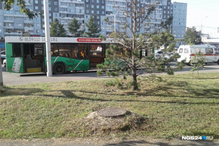 На место приехала скорая помощь На место приехала скорая помощь