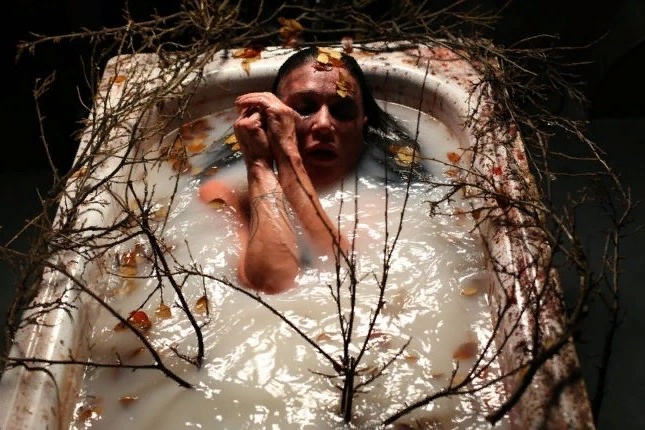 В одной из сцен певица лежит в ванне с ветками