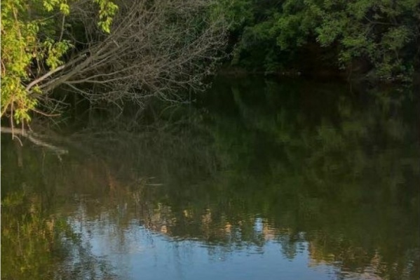 Волонтеры очистили водоем от тины Волонтеры очистили водоем от тины