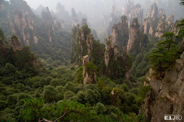 Вот они, те самые горы, вдохновившие создателей «Аватара»