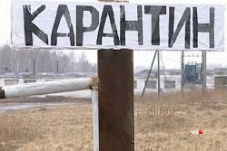 В карантинную зону попало село Царев В карантинную зону попало село Царев