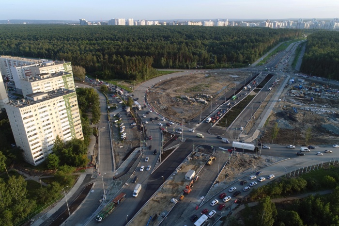 Посмотрите, сколько леса вокруг Посмотрите, сколько леса вокруг