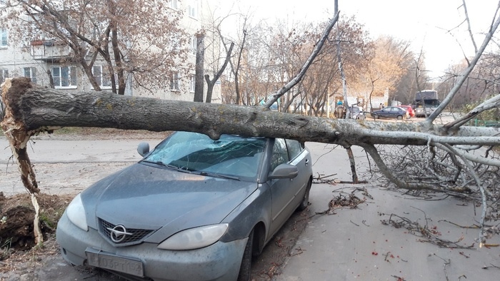 Разрушения продолжаются: разбитые машины, поваленные деревья и 47 тысяч нижегородцев без света
