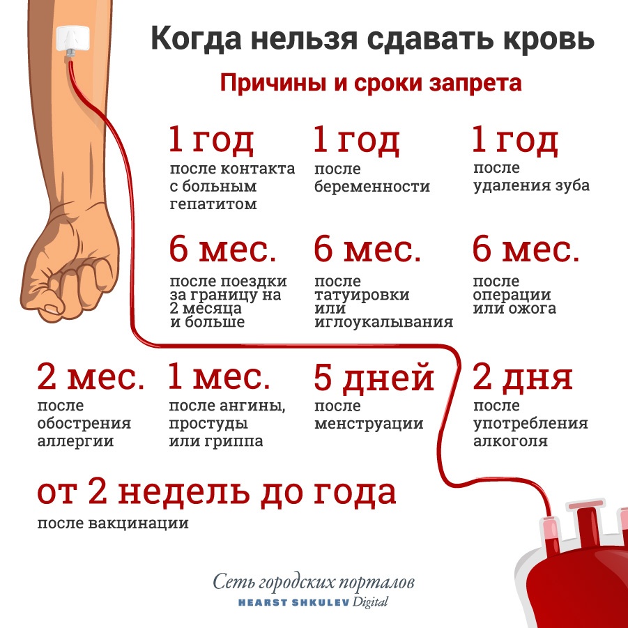Можно крови. После сдачи крови. После сдачи крови на донорство. Когда можно сдавать кровь на донорство. График сдачи крови для доноров.