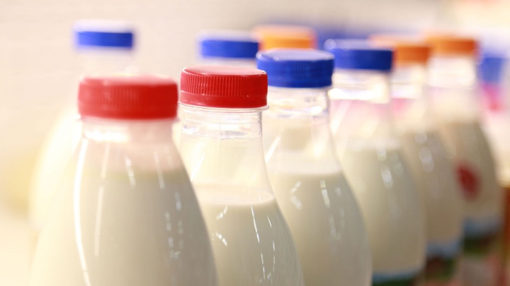 Стоит ли дать зеленый свет молочным кухням в Башкирии: мнение #яжматерей и не только