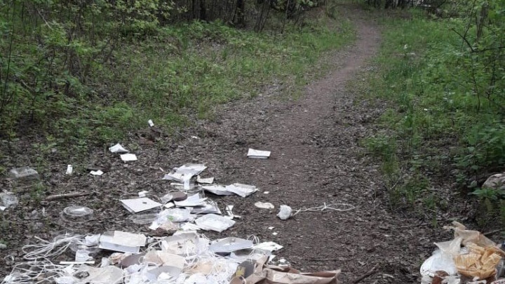 «Уберите свою кучу»: новосибирцы возмутились лесной свалкой у магазина тортов «Скоморохи»
