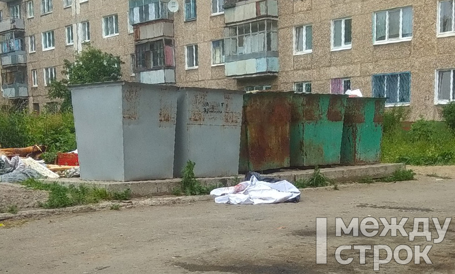 Контейнерная площадка, на которой нашли тело Контейнерная площадка, на которой нашли тело