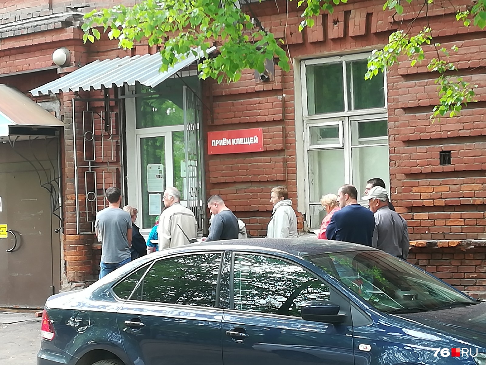 Какие общественные места в Ярославле обработали от клещей