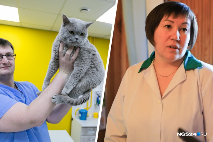 Николай Леонов и Наталья Демина ответили на главные вопросы о ветеринарии