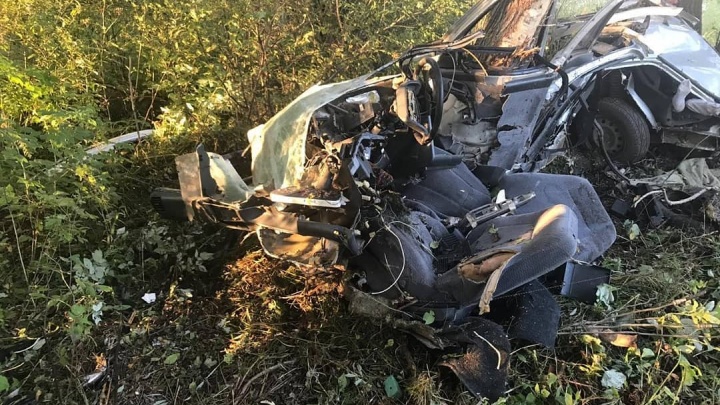 Машину разорвало на куски: на трассе в Башкирии водитель влетел в дерево