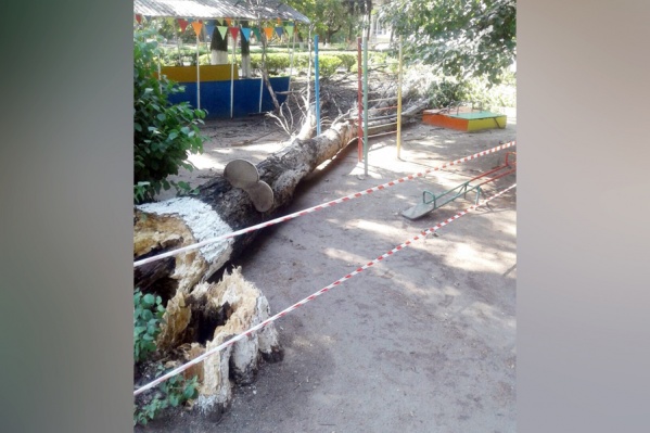 Дерево на площадку упало в выходной день, когда там не было детей Дерево на площадку упало в выходной день, когда там не было детей