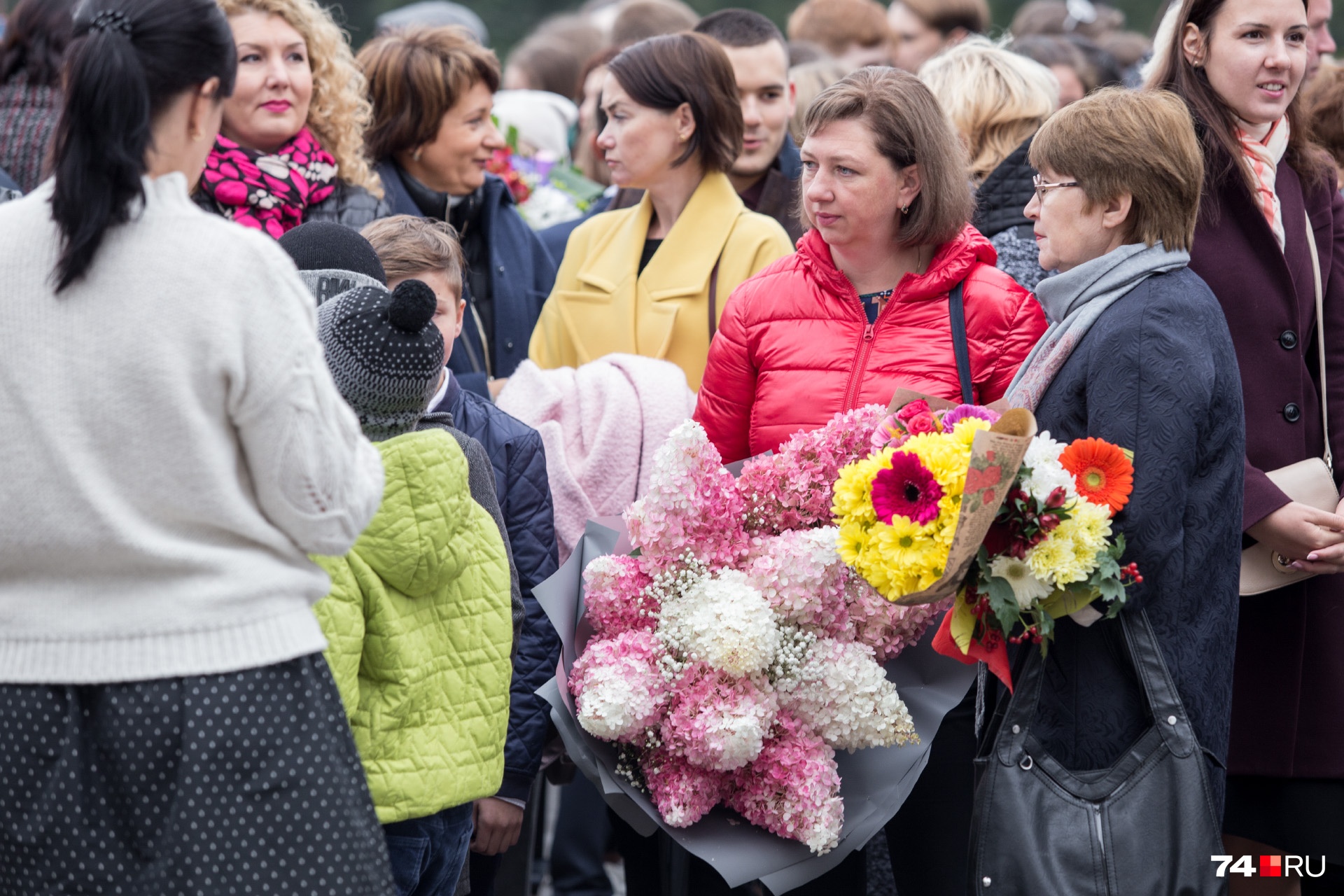 Гортензии в этом году очень популярны Гортензии в этом году очень популярны