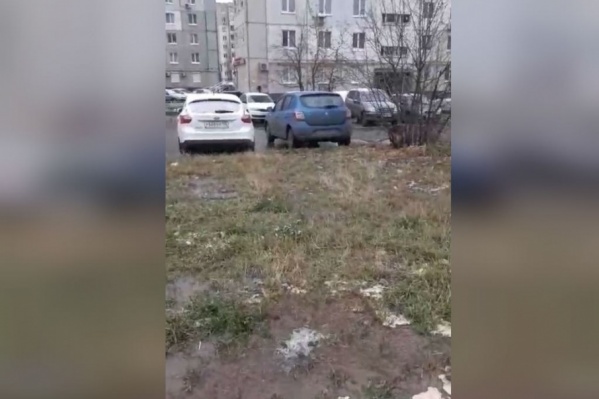 Фонтан превратил газон в болото Фонтан превратил газон в болото