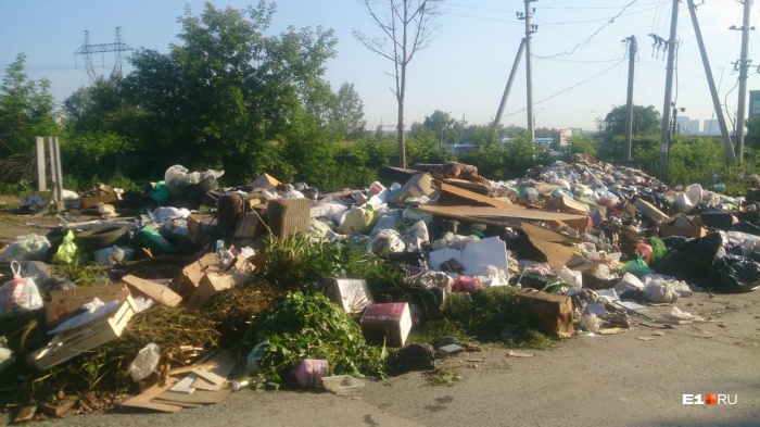 Горы мусора образовались за две недели Горы мусора образовались за две недели