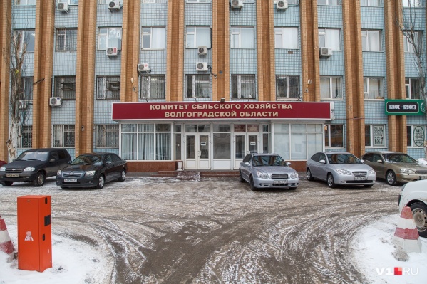 Теперь иномаркам чиновников придётся ютится рядом с обычными автомобилями горожан Теперь иномаркам чиновников придётся ютится рядом с обычными автомобилями горожан 