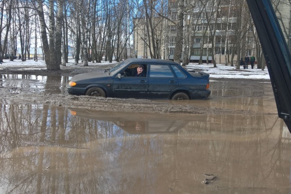 Настоящее болото Настоящее болото
