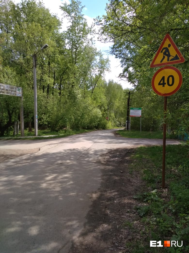 На Шарташе начали рубить деревья ради шестиметровой дорожки для пешеходов и велосипедистов
