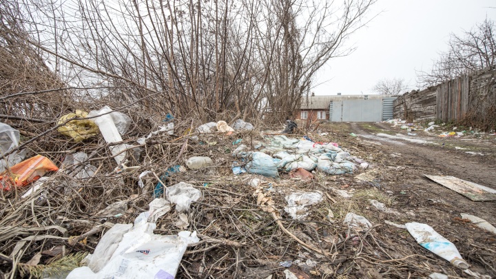 Василий Голубев: мусорную реформу хотят дискредитировать поджогами полигонов