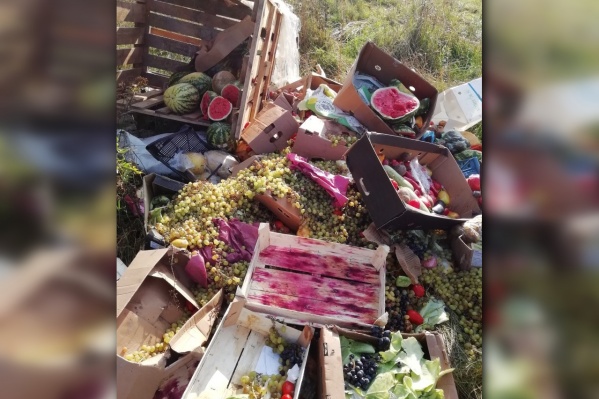 Местные жители жалеют, что продукты выбросили, а не раздали людям Местные жители жалеют, что продукты выбросили, а не раздали людям