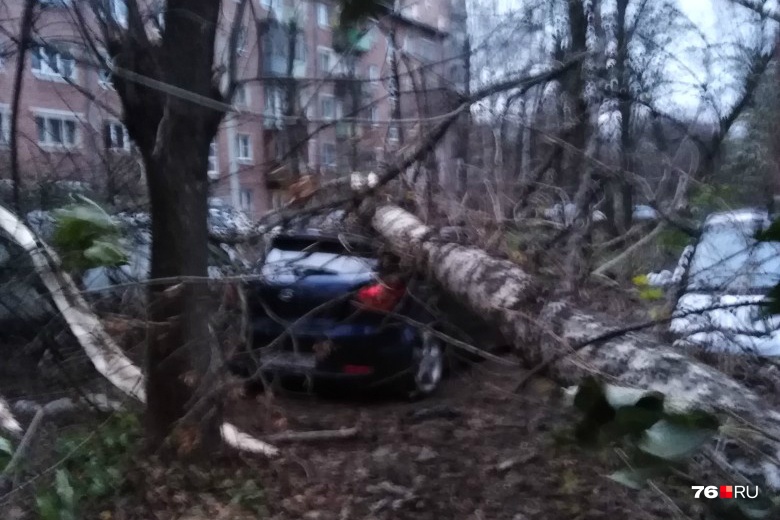 Последствия урагана в Ярославле разгребают до сих пор Последствия урагана в Ярославле разгребают до сих пор