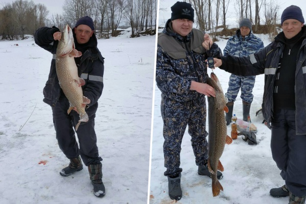 Рыба ушла с молотка прямо на льду Рыба ушла с молотка прямо на льду