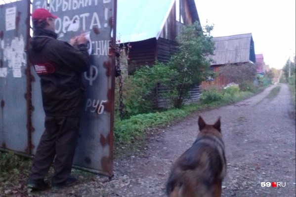 Школьницу искали и на территории заброшенного СНТ, где, предположительно, она ночевала, но не нашли Школьницу искали и на территории заброшенного СНТ, где, предположительно, она ночевала, но не нашли