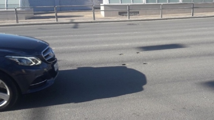 Колеи на Московском шоссе: в суд вызвали проектировщика капремонта дороги