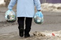 «Нарушают — жалуйтесь!»: в Башкирии за информацию о свалках будут платить