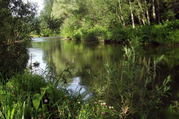 Уровни водоемов растут из-за дождей Уровни водоемов растут из-за дождей