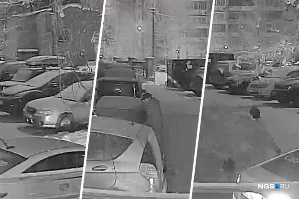 На мужчину, снявшего аккумулятор с чужой машины, завели уголовное дело. Теперь ему грозит срок На мужчину, снявшего аккумулятор с чужой машины, завели уголовное дело. Теперь ему грозит срок