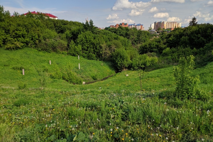 Экоактивисты выступают <a href="https://72.ru/text/gorod/65683431/" target="_blank" class="_">против решения застроить</a> уникальный природный ландшафт в центре города Экоактивисты выступают <a href="https://72.ru/text/gorod/65683431/" target="_blank" class="_">против решения застроить</a> уникальный природный ландшафт в центре города