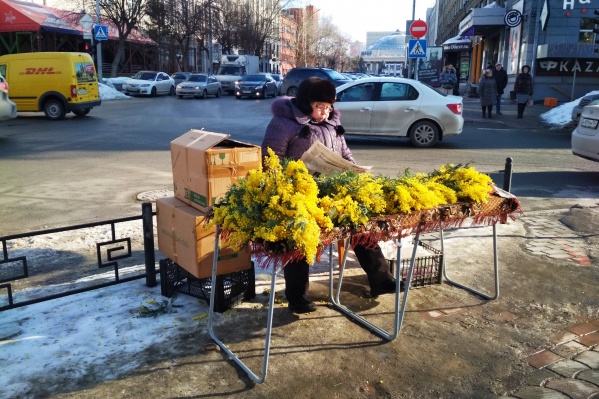 Первые мимозы в этом году можно купить уже в самом начале праздничной недели Первые мимозы в этом году можно купить уже в самом начале праздничной недели