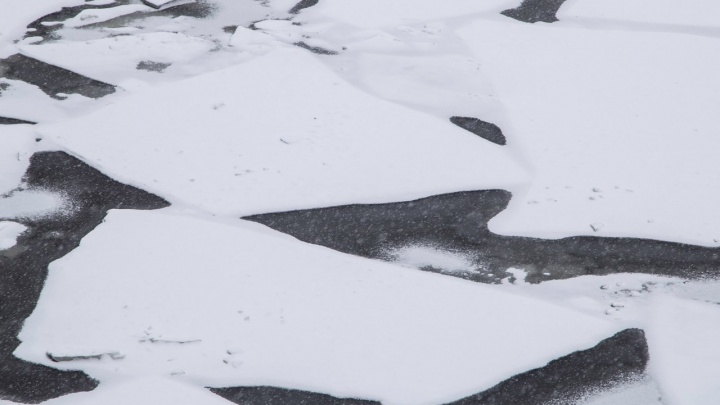 «Уровни воды низкие»: ледоход на Северной Двине достиг Верхнетоемского района