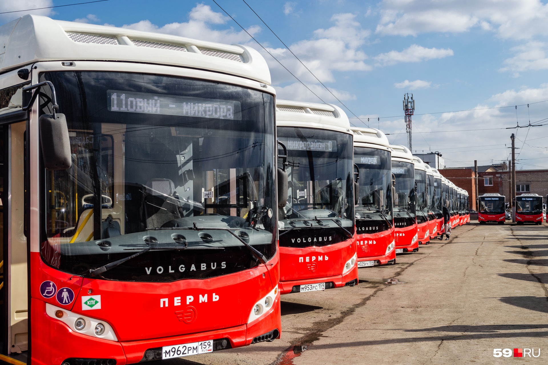 Городской транспорт пермь. Транспорт Пермь. Общественный транспорт Перми. Автобус Пермь. Городские автобусы Пермь.