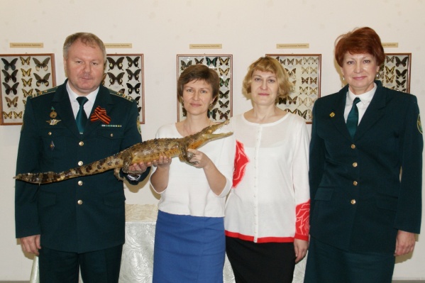 Передача чучела в музей Передача чучела в музей