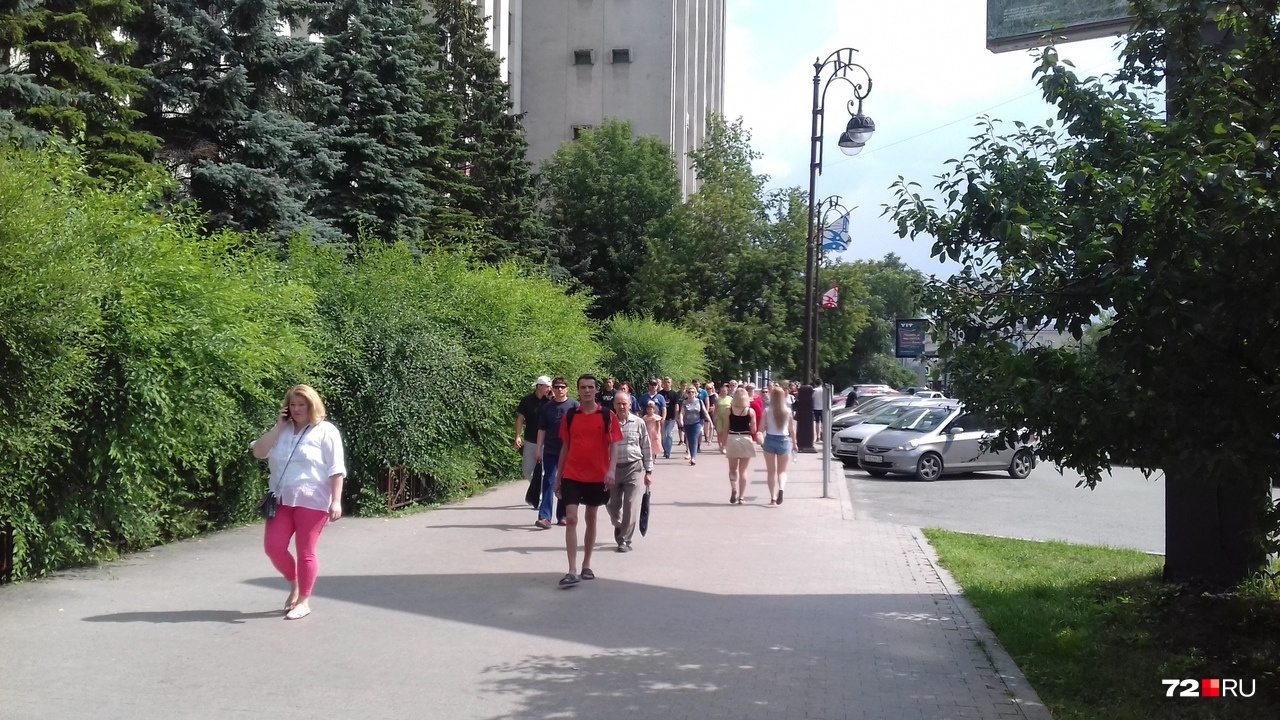 А вы уже гуляли по городу сегодня? А вы уже гуляли по городу сегодня? 