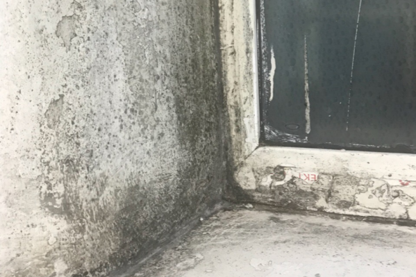 Чернота на откосах и подоконниках Чернота на откосах и подоконниках 