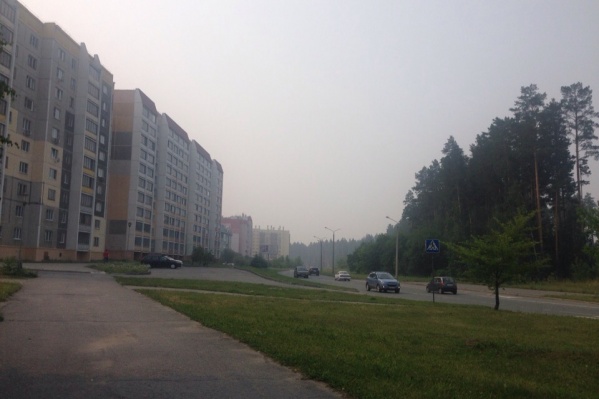 Жители Снежинска с утра делятся снимками белой пелены над городом Жители Снежинска с утра делятся снимками белой пелены над городом