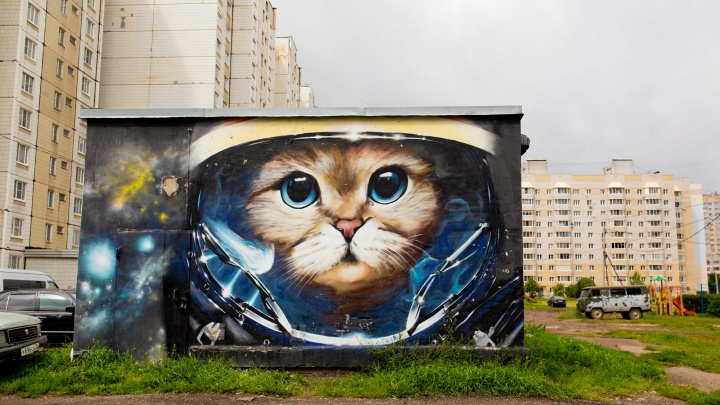 С ними город стал ярче: 14 необычных граффити на улицах Ярославля